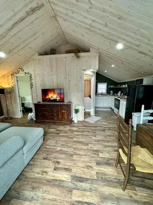 a living room with a couch and a fireplace at Manatawny Creek Cottage in Boyertown