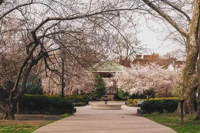 a park with a fountain and trees and a building at VAN VORST HOUSE Prime Location Minutes to NYC in Jersey City
