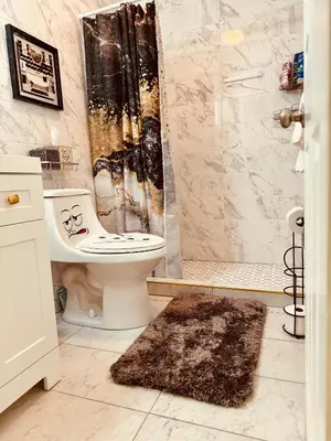 a bathroom with a toilet and a shower and a rug at Cozy Cabin in Tobyhanna