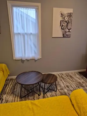 a living room with a table and a tiger picture at Serene Haven of Tranquility in Maplewood