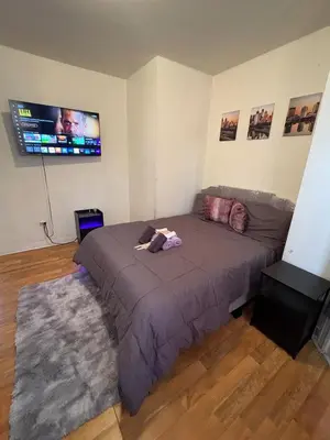 a bedroom with a bed and a flat screen tv at Charming 2 bedroom apartment in Philadelphia