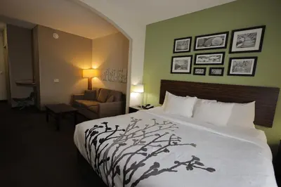a hotel room with a bed with a tree painted on it at Express Inn & Suites in Harrisburg