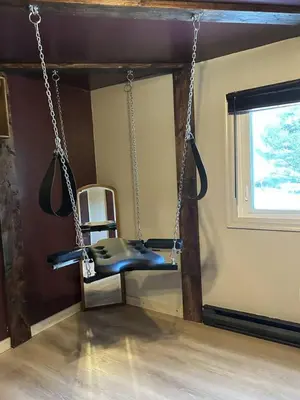 a swinging chair in a room with a window at Gilded Cage Escapes - Hidden Playroom For Couples - Private Hot Tub - Mountain Views - Riverfront in Lackawaxen