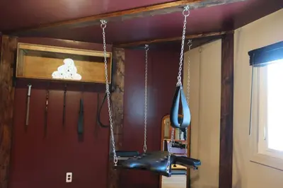a swing hanging from a wall in a room at Gilded Cage Escapes - Hidden Playroom For Couples - Private Hot Tub - Mountain Views - Riverfront in Lackawaxen