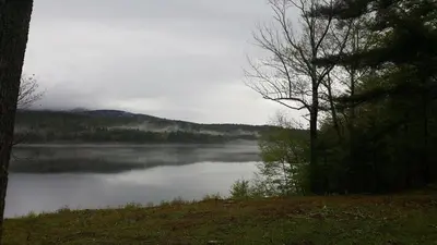 a view of a lake with trees and water at Catskills Aframe, Water View, Goat Sanctuary in Napanoch