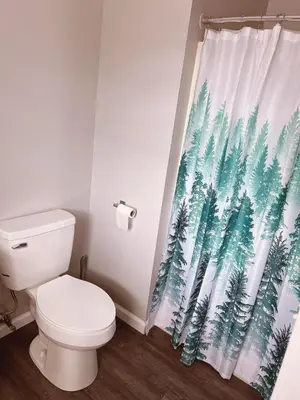 a bathroom with a toilet and a shower curtain at Home in Poconos in Albrightsville