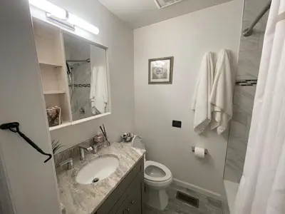 a bathroom with a sink and a toilet and a shower at Modern Glam Getaway 30 minutes from NYC in West Orange