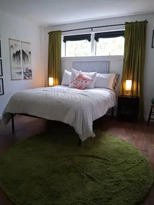 a bedroom with a large bed with a green rug at Black Top Retreat in Wyalusing