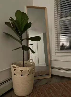 a potted plant sitting in front of a mirror at Chic Phoenixville Retreat With Parking in Phoenixville