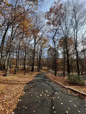 a road in a park with leaves on the ground at Cozy 3BR Home - Hudson Valley views near Woodbury Commons in Highland Mills