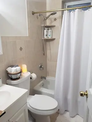 a bathroom with a toilet and a shower curtain at NYC Escape Easy Transit Easy Parking Quiet Area in Teaneck