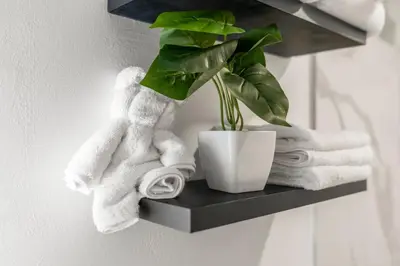a shelf with towels and a plant in a bathroom at Modern 1 BR Apartment Near Center City & University City in Philadelphia