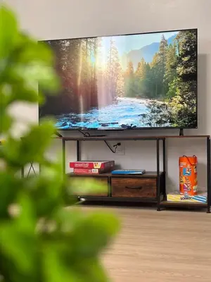 a television screen with a picture of a lake on it at 3BR home in Jersey city ! near metlife & NYC train in Jersey City