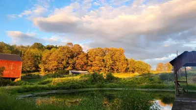 a barn and a pond in a field with trees at Coastal Style Bus Farm Retreat with Pond Dock and Peaceful Nature Views in Stillwater, Pennsylvania in Stillwater