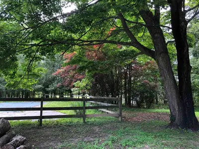 a wooden bench under a tree in a park at 20 min Woodbury Outlet & USMA 35 min Mt Creek in Chester