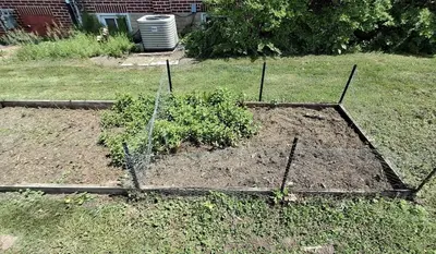 a garden with a plant in a yard at Old Charm Getaway in New Cumberland