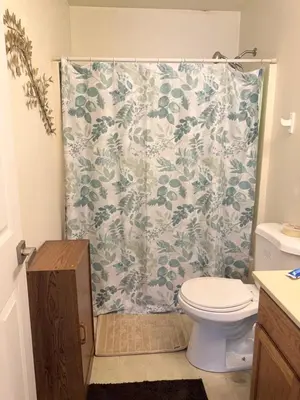 a bathroom with a shower curtain with a toilet at Poconos home away from home in East Stroudsburg