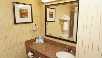 a bathroom with a sink and a mirror at Holiday Inn Express & Suites Gibson by IHG in New Milford