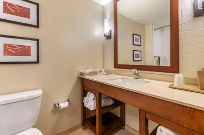 a bathroom with a sink and a toilet and a mirror at Comfort Suites Manheim - Lancaster in Manheim