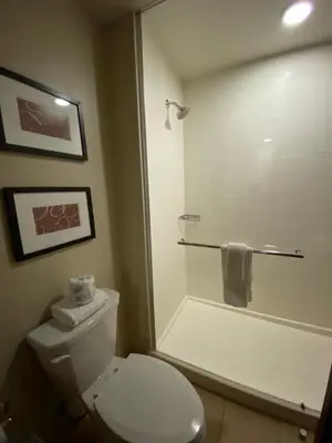 a bathroom with a white toilet and a shower at Comfort Suites Manheim - Lancaster in Manheim