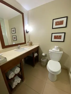 a bathroom with a toilet and a sink and a mirror at Comfort Suites Manheim - Lancaster in Manheim