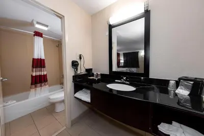 a bathroom with a sink and a toilet and a mirror at Red Roof Inn Bordentown - McGuire AFB in Bordentown