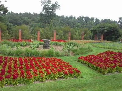 a garden with red flowers in the grass at Holiday Inn Express Hotel & Suites West Point-Fort Montgomery by IHG in Fort Montgomery