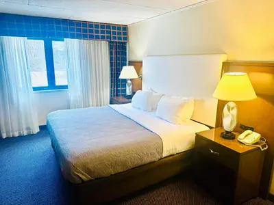 a hotel room with a bed with a lamp and a phone at Quality Inn Horseheads in Horseheads