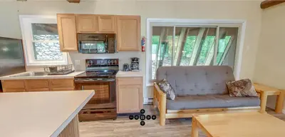 a kitchen with a couch and a kitchen with a stove at Spring Gulch A-Frame House 8 in Mount Airy