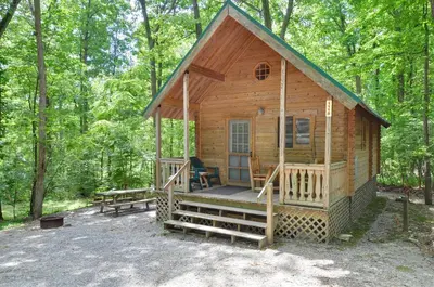a cabin in the woods with a bench and a table at Spring Gulch Chalet 12 in Mount Airy