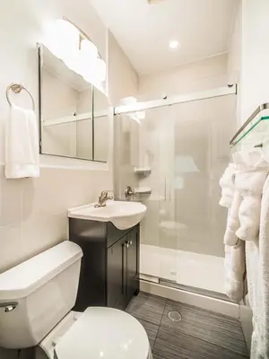 a bathroom with a toilet and a sink and a shower at Chelsea Inn in New York