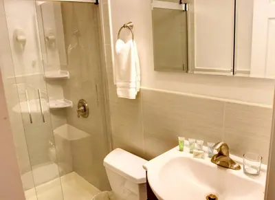a bathroom with a shower and a sink and a toilet at Chelsea Inn in New York