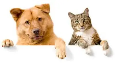 a dog and a cat sitting behind a sign at Staybridge Suites-Philadelphia/Mount Laurel by IHG in Mount Laurel