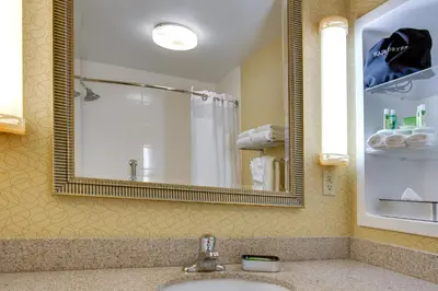 a bathroom with a sink and a mirror at Holiday Inn Express Tower Center New Brunswick by IHG in East Brunswick