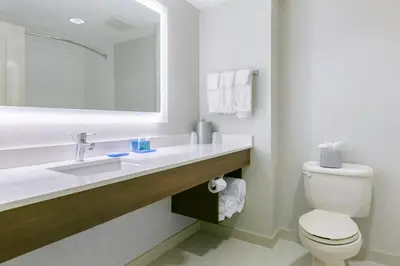 a bathroom with a sink and a toilet and a mirror at Holiday Inn Express Mount Arlington by IHG in Mount Arlington