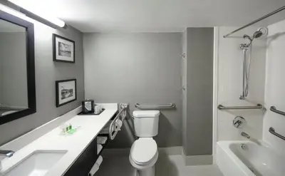 a bathroom with a toilet and a sink and a shower at Holiday Inn Princeton by IHG in Princeton