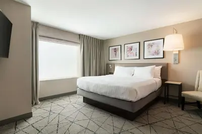 a hotel room with a bed and a window at Hilton Garden Inn Springfield in Springfield