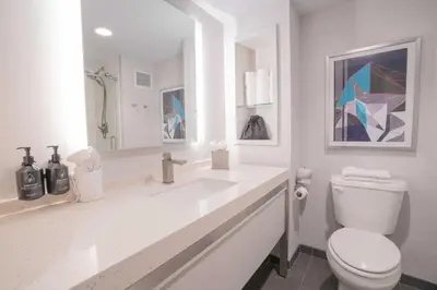 a white bathroom with a toilet and a sink at Hotel Indigo Harrisburg - Hershey by IHG in Harrisburg