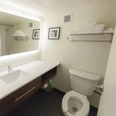a bathroom with a sink and a toilet and a mirror at Holiday Inn Morgantown - Reading Area by IHG in Morgantown