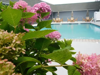 a pool with pink flowers in front of it at Comfort Inn & Suites Glen Mills - West Chester in Glen Mills