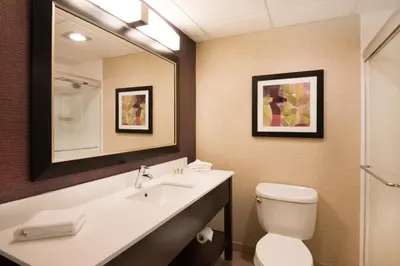 a bathroom with a sink and a toilet and a mirror at Holiday Inn Williamsport by IHG in Williamsport