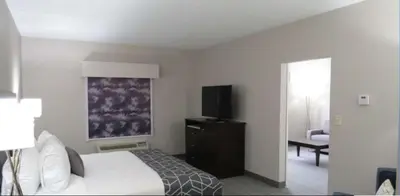 a hotel room with a bed and a television at Best Western Plus Wilkes Barre-Scranton Airport Hotel in Pittston