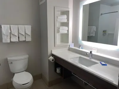 a bathroom with a sink and a toilet and a mirror at Holiday Inn Express Hotel & Suites Binghamton University-Vestal by IHG in Vestal
