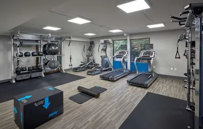 a gym with several treadmills and cardio machines at Hampton Inn by Hilton Harrisburg West in Mechanicsburg