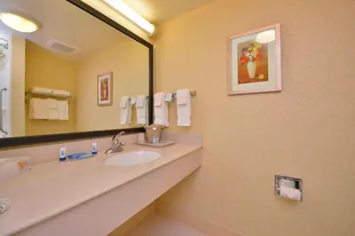 a bathroom with a sink and a large mirror at Fairfield Inn and Suites by Marriott Williamsport in Williamsport