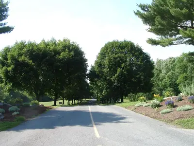 a road with trees and flowers on the side of it at Circle M Camping Resort Loft Park Model in Wabank