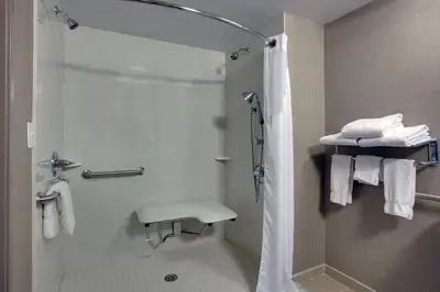 a bathroom with a shower and a toilet and towels at Holiday Inn Express Hotel & Suites Meadowlands Area by IHG in Carlstadt