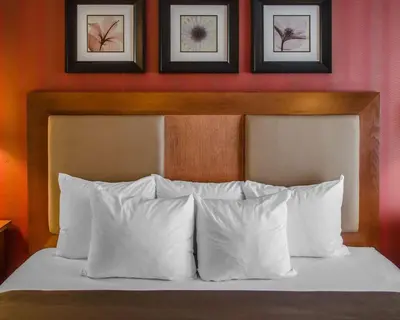a bed with white pillows and framed pictures above it at Hotel Hanna in Harrisburg