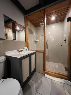 a bathroom with a shower and a sink and a toilet at Chateau Suites in Norristown