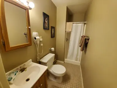 a bathroom with a toilet and a sink and a shower at Lakewood Lodge & Restaurant in Lakewood